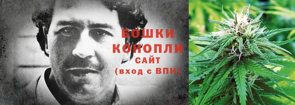 СК Абинск