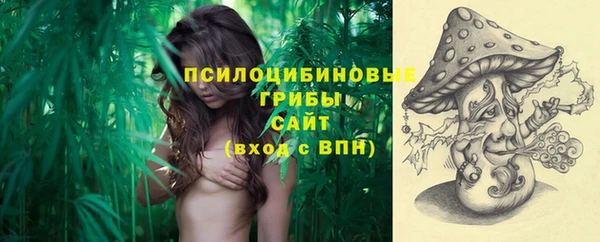 мдпв Переславль-Залесский