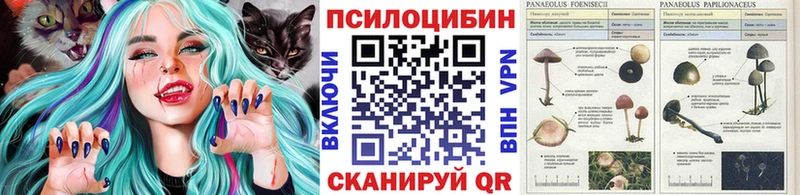 Галлюциногенные грибы мухоморы  купить наркотики сайты  Исилькуль 